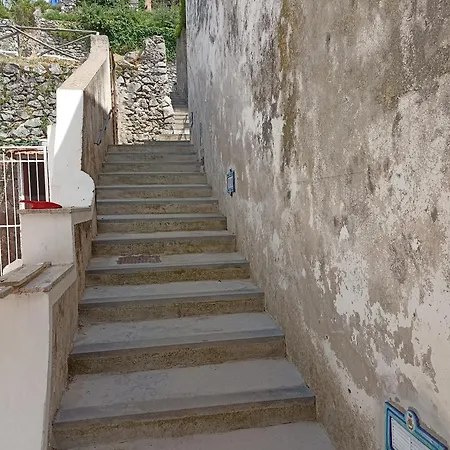 Casa Olga, Un Affaccio Sul Mare !! Daire *